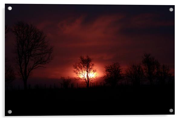 Dawn Light Acrylic by Simon Johnson