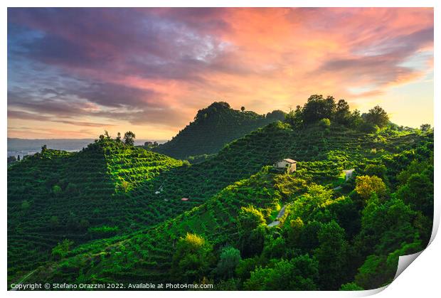Prosecco Hills, vineyards and steep hills. Unesco Site. Print by Stefano Orazzini