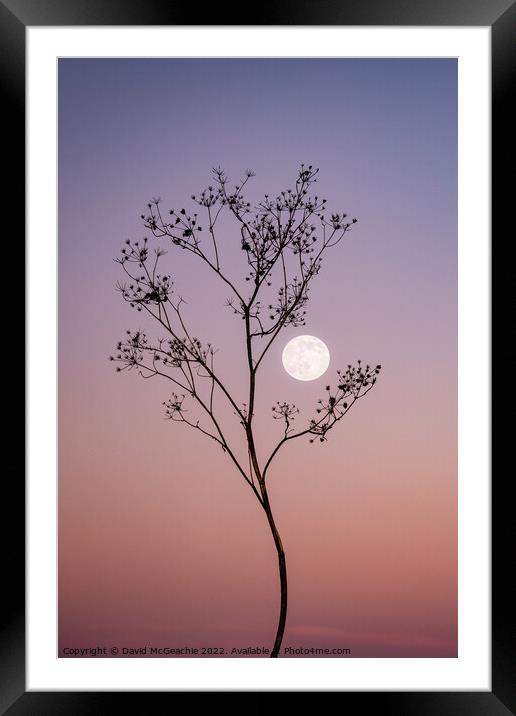 Enchanting Wolf Moon at Dusk Framed Mounted Print by David McGeachie