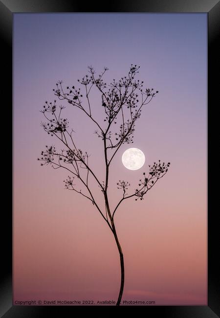 Enchanting Wolf Moon at Dusk Framed Print by David McGeachie