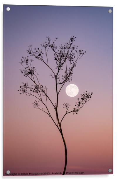 Enchanting Wolf Moon at Dusk Acrylic by David McGeachie