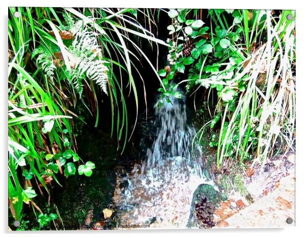 Tiny waterfall Acrylic by Stephanie Moore