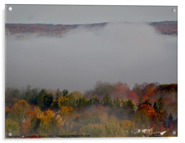 Mist over Fall Trees Acrylic by Stephanie Moore