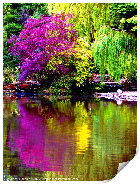 Colorful reflections of nature. Print by john hill