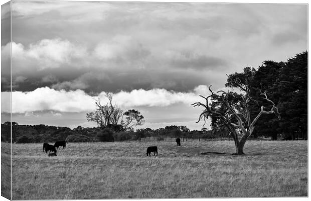 Under the clouds Canvas Print by Dimitrios Paterakis