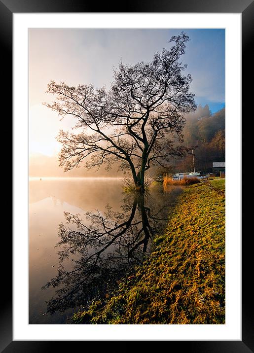 Tree Reflections, Ullswater Framed Mounted Print by Jason Connolly