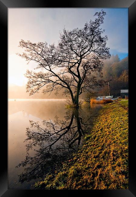 Tree Reflections, Ullswater Framed Print by Jason Connolly