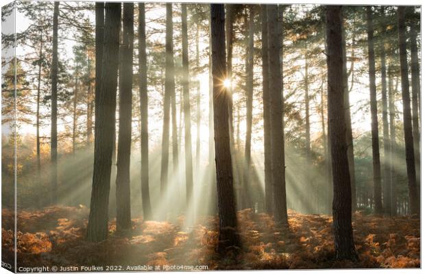 Forest sunbeams  Canvas Print by Justin Foulkes