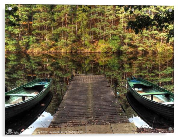 Twin Boat Pine Loch Reflection Millbuies Morayshire  Acrylic by OBT imaging