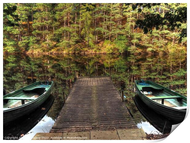 Twin Boat Pine Loch Reflection Millbuies Morayshire  Print by OBT imaging
