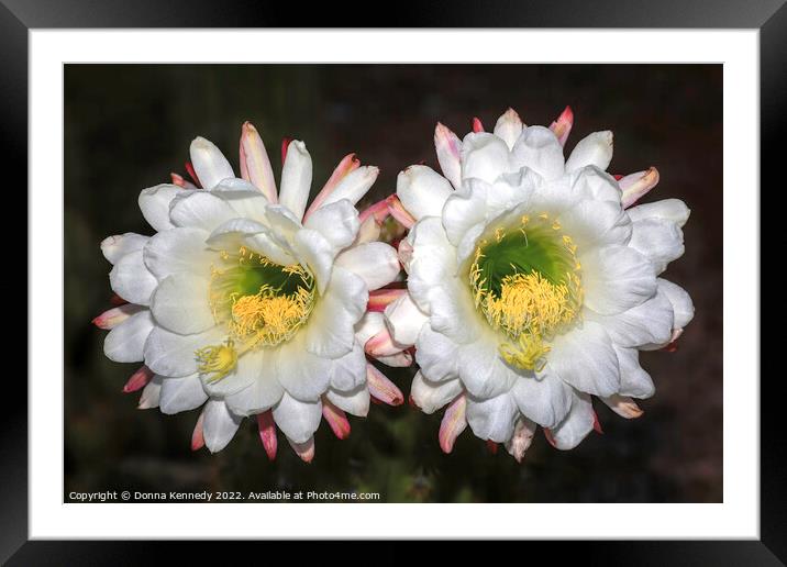 Unforgettable Framed Mounted Print by Donna Kennedy