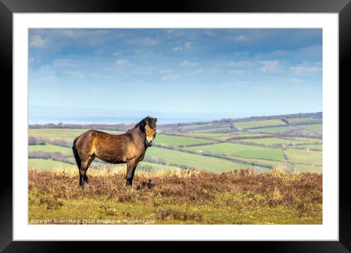 Exmoor Pony Framed Mounted Print by Jim Monk