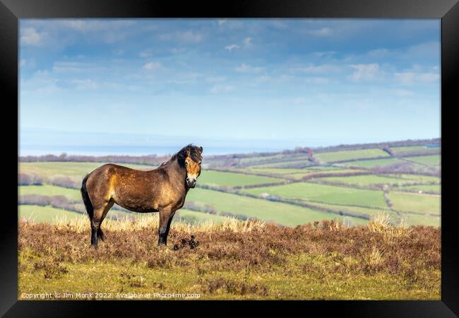 Exmoor Pony Framed Print by Jim Monk