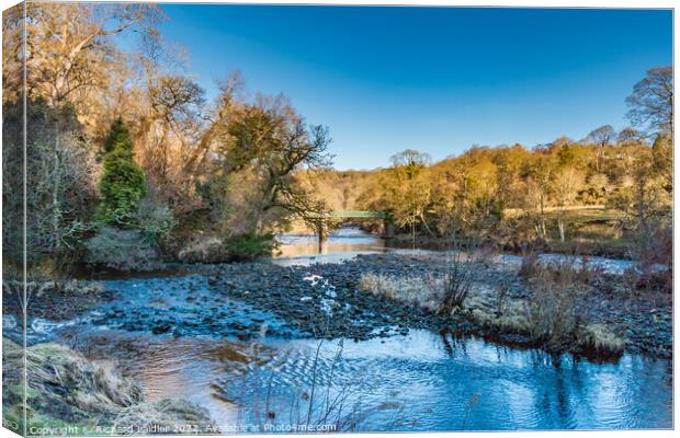 Balder Tees Confluence at Cotherstone, Teesdale (1) Canvas Print by Richard Laidler