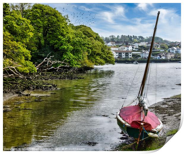 Kingsbridge Devon  Print by Stuart Wyatt