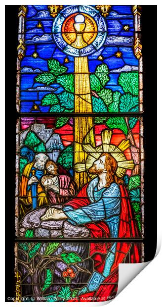 Jesus Praying Garden Stained Glass Church Saint Augustine Florida Print by William Perry