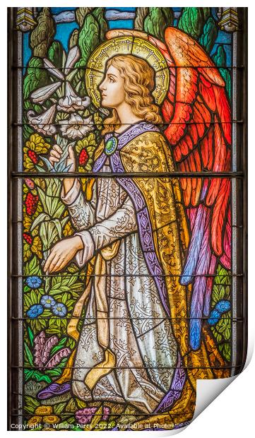 Angel Stained Glass Trinity Parish Church Saint Augustine Florida Print by William Perry