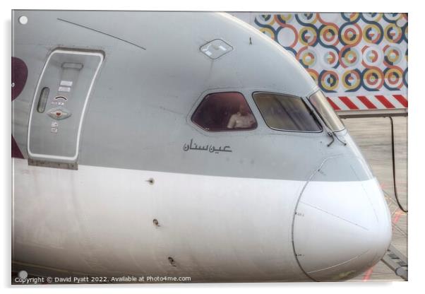 Qatar Airways Boeing 787  Acrylic by David Pyatt