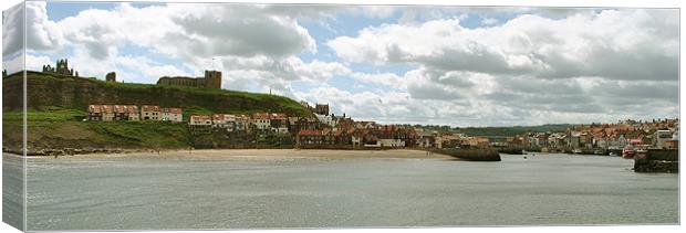 Whitby Harbour Canvas Print by graham young
