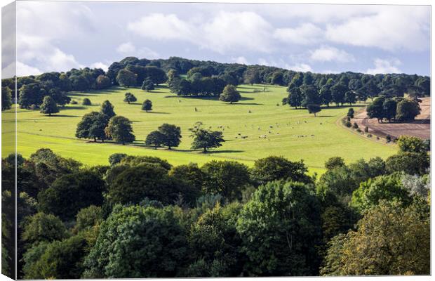 Yorkshire countryside Canvas Print by Phil Crean