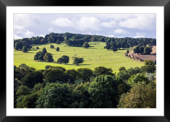 Yorkshire countryside Framed Mounted Print by Phil Crean