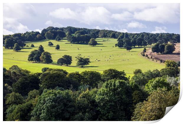 Yorkshire countryside Print by Phil Crean