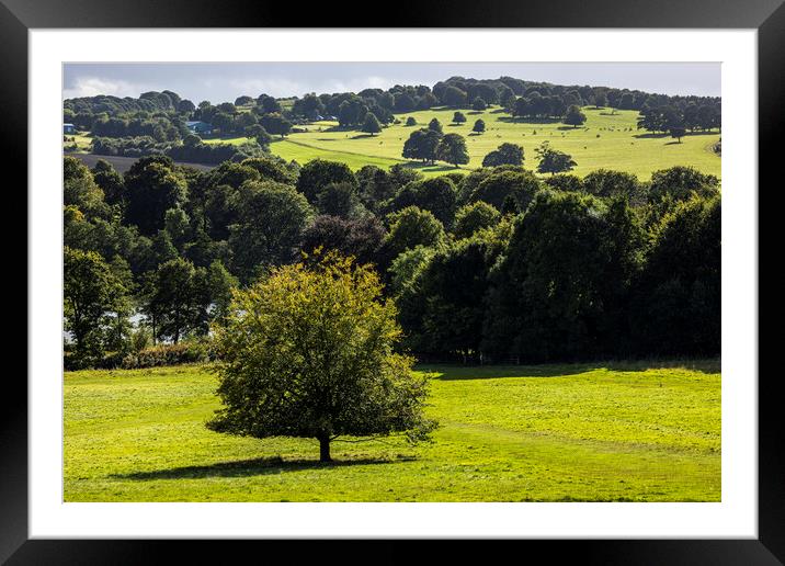 Yorkshire countryside  Framed Mounted Print by Phil Crean