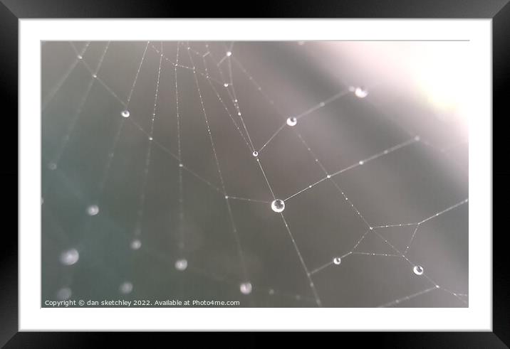 Nature's wide web Framed Mounted Print by dan sketchley