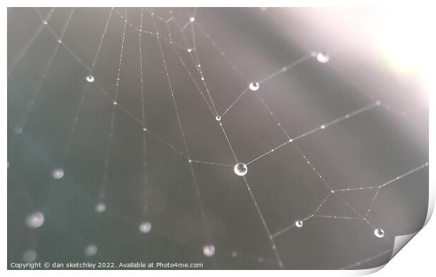 Nature's wide web Print by dan sketchley