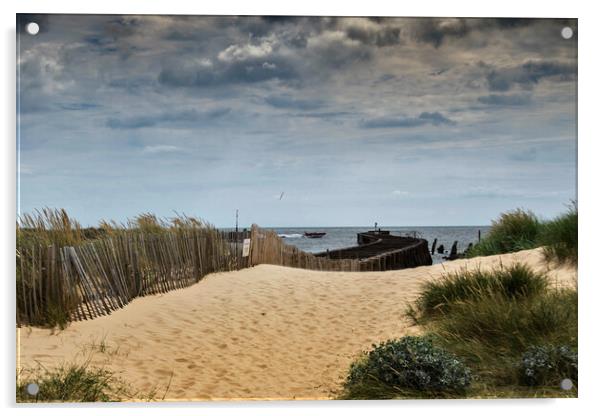 Serene Pathway to the Ocean Acrylic by Kevin Snelling