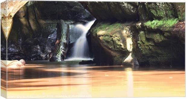 Pewit's Nest Waterfall Canvas Print by Philip Lehman