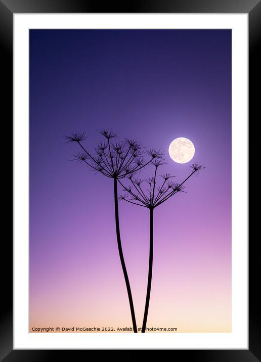 Winter Moons Vivid Rise Framed Mounted Print by David McGeachie