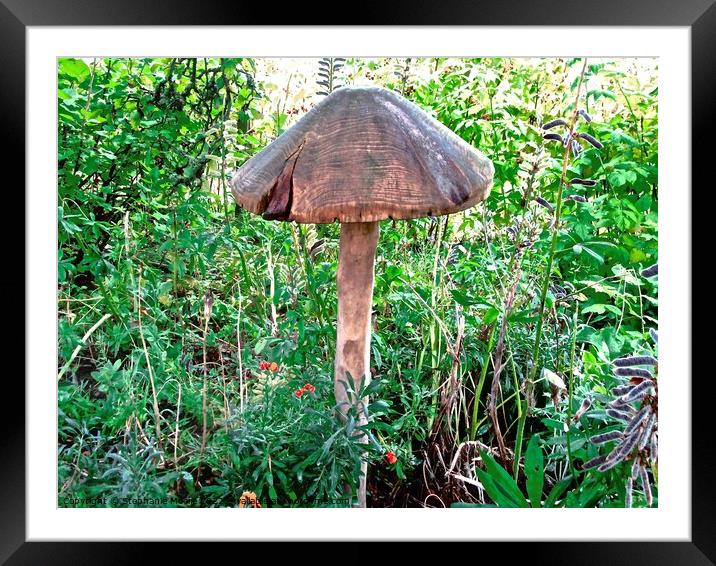 Wooden toadstool  Framed Mounted Print by Stephanie Moore