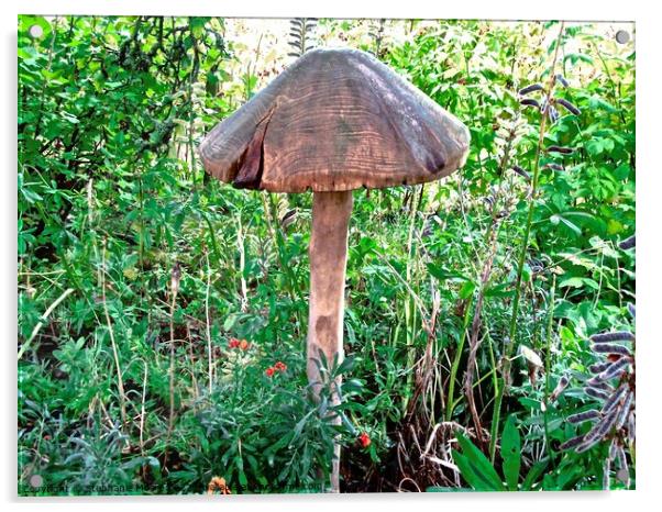 Wooden toadstool  Acrylic by Stephanie Moore