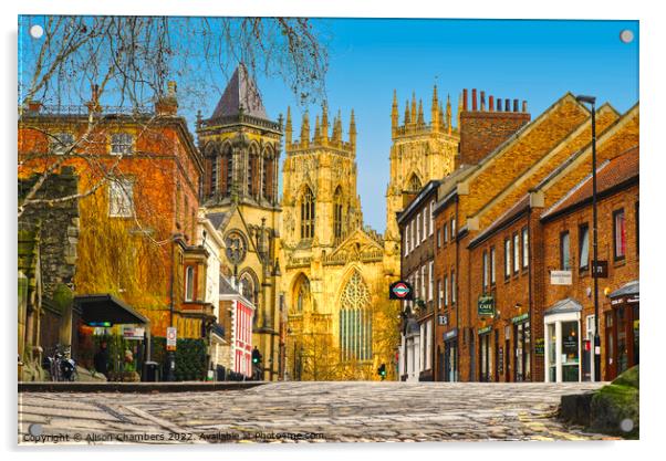York Minster And Surrounding Buildings Acrylic by Alison Chambers