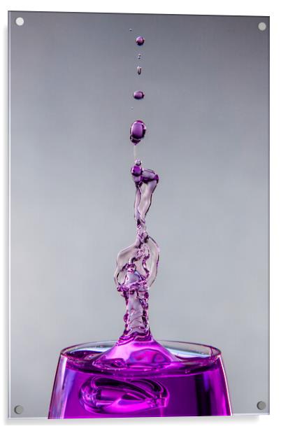 Purple Symphony Acrylic by Alan Tunnicliffe