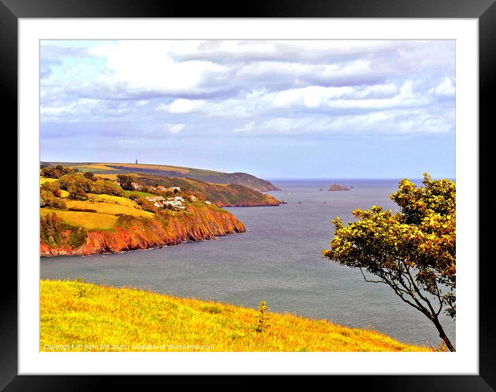 Coastline, Devon. Framed Mounted Print by john hill