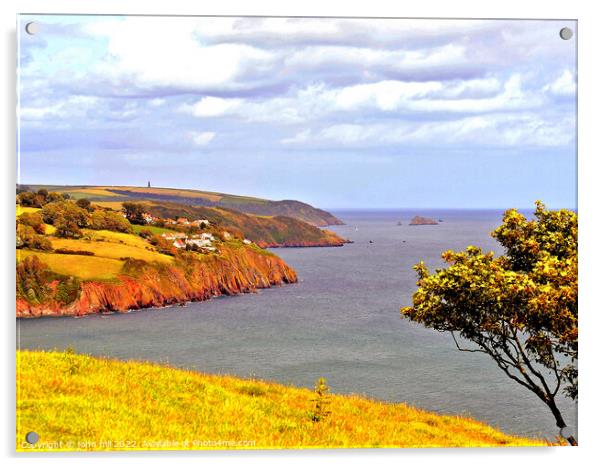 Coastline, Devon. Acrylic by john hill