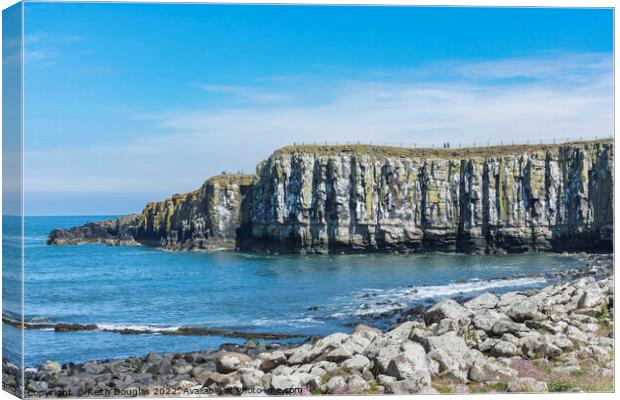 Sea cliffs at Castle Point, Dunstanburgh Canvas Print by Keith Douglas
