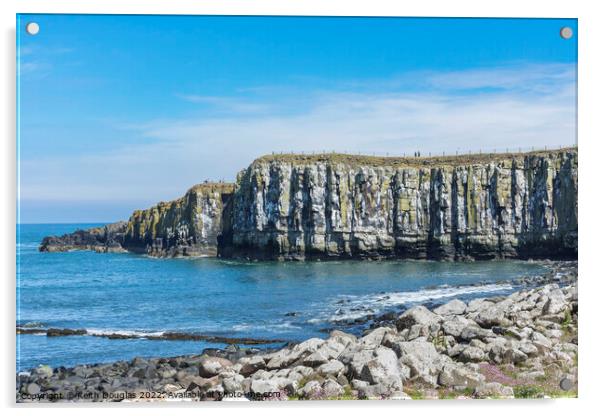 Sea cliffs at Castle Point, Dunstanburgh Acrylic by Keith Douglas