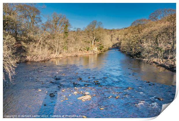 The River Tees at Cotherstone Print by Richard Laidler