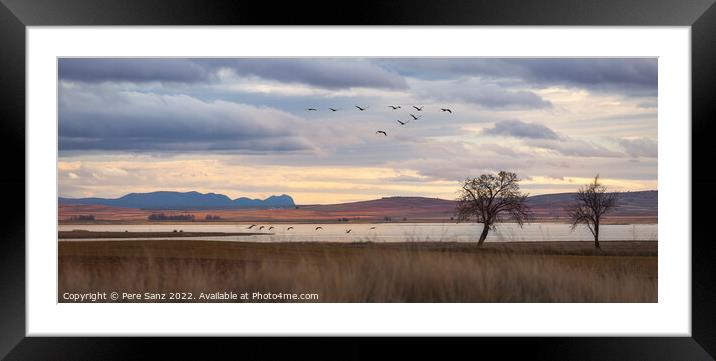 Flock of Cranes Returning to Gallocanta Lagoon, Spain Framed Mounted Print by Pere Sanz