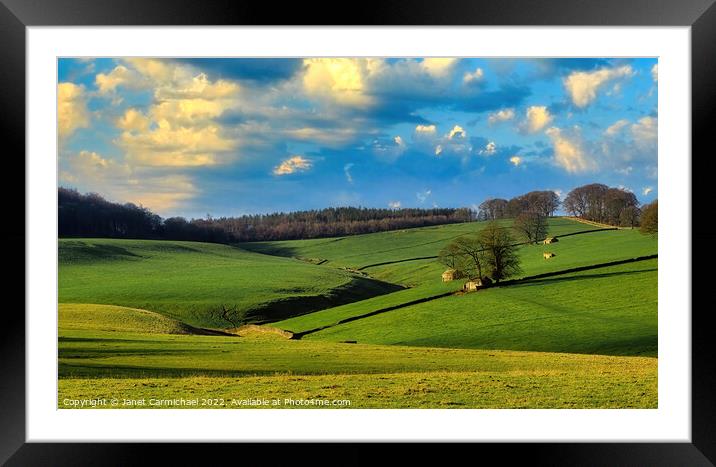 Derbyshire Dales Framed Mounted Print by Janet Carmichael