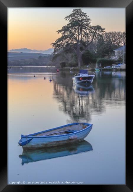 Kingsbridge  and Salcombe Estuary  Framed Print by Ian Stone