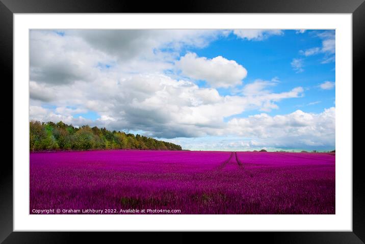 Cotswolds Field Framed Mounted Print by Graham Lathbury