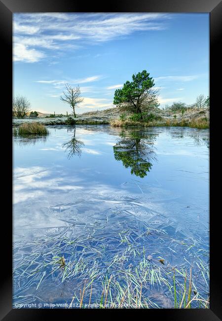 St James Forest Pond Reflection. Framed Print by Philip Veale