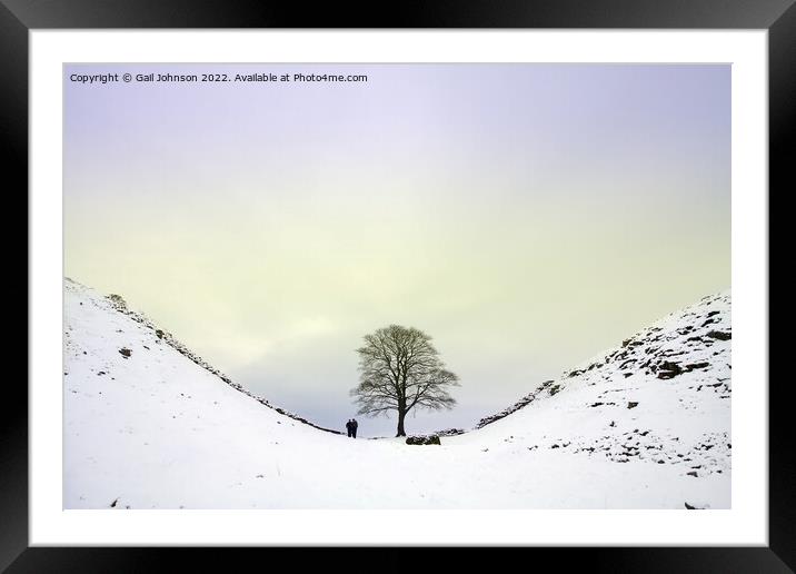 Sycamore Gap Framed Mounted Print by Gail Johnson