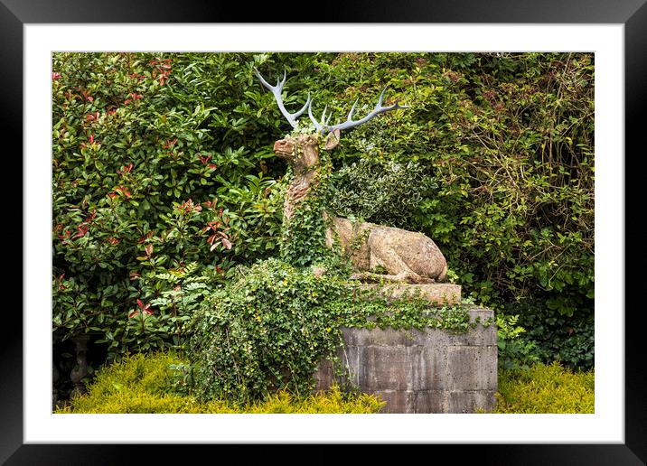 Sitting stag ornamental statue  Framed Mounted Print by Phil Crean
