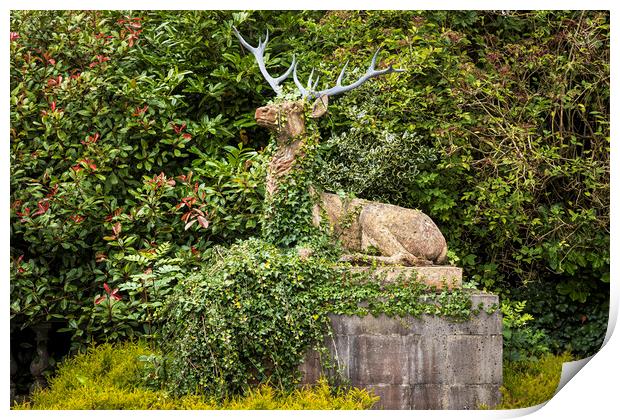 Sitting stag ornamental statue  Print by Phil Crean