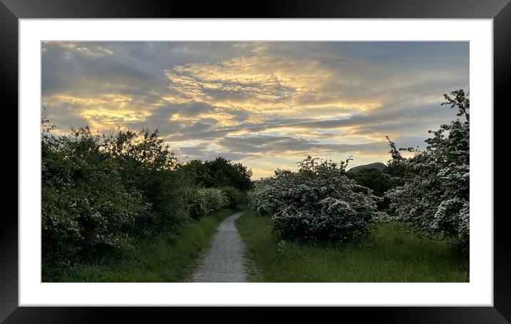 Path to light  Framed Mounted Print by Graham Mathieson